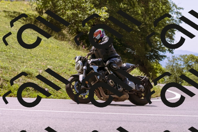 202509061238-_DSC8770_d1_