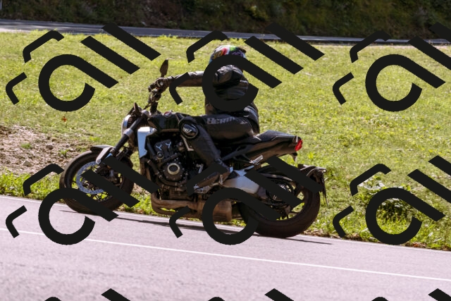 202509061238-_DSC8772_d1_