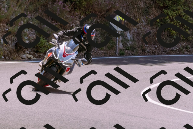 202509061239-_DSC8775_d1_