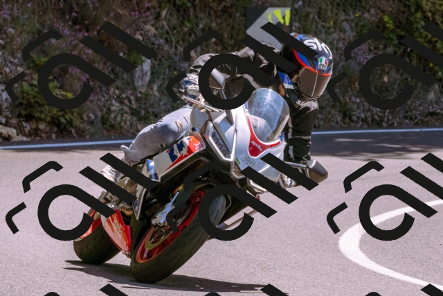 202509061239-_DSC8776_d1_