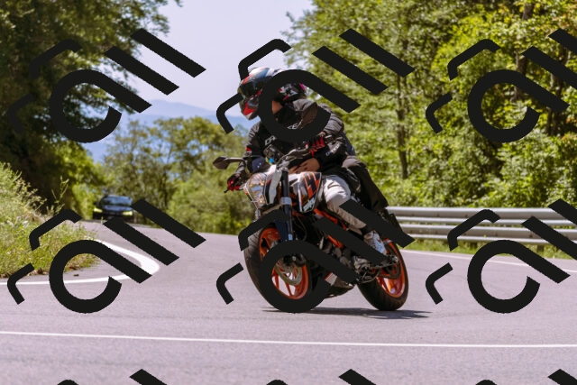 202509061241-_DSC8780_d1_