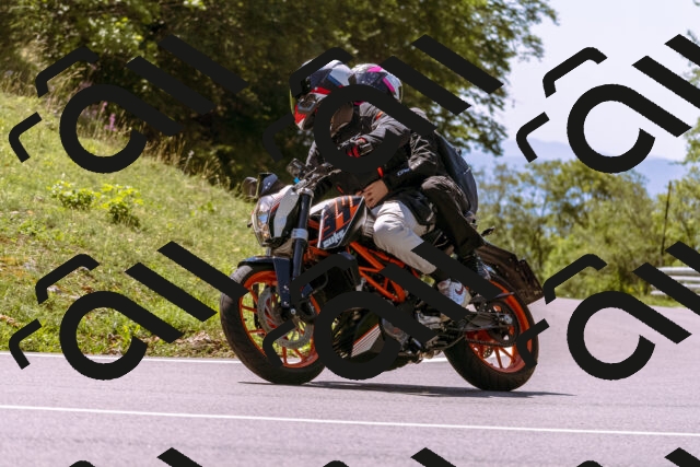 202509061241-_DSC8781_d1_