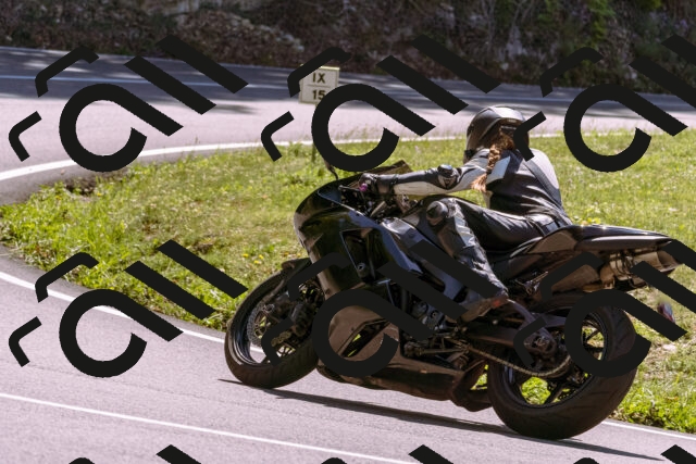 202509061246-_DSC8811_d1_