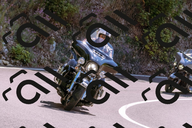 202509061251-_DSC8818_d1_