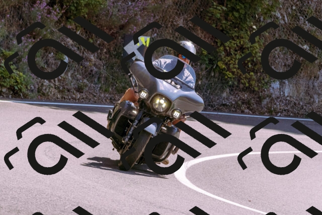 202509061251-_DSC8819_d1_