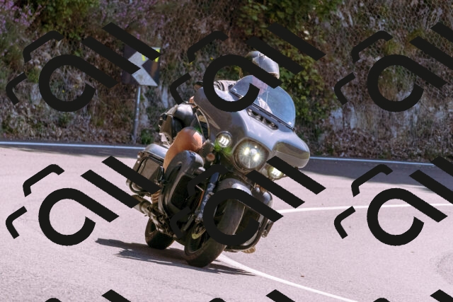 202509061251-_DSC8820_d1_