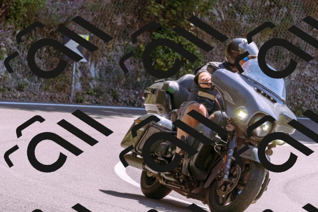 202509061251-_DSC8821_d1_