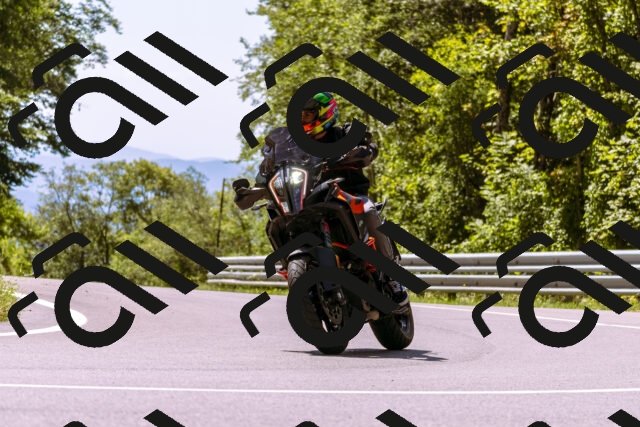 202509061253-_DSC8836_d1_