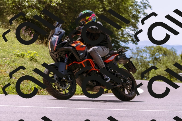 202509061253-_DSC8838_d1_