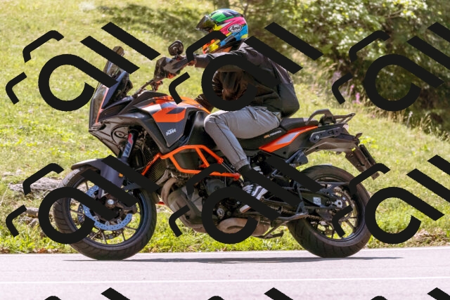 202509061253-_DSC8839_d1_