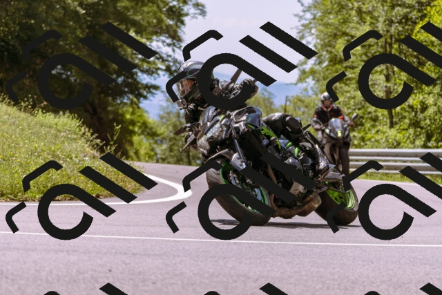 202509061255-_DSC8841_d1_