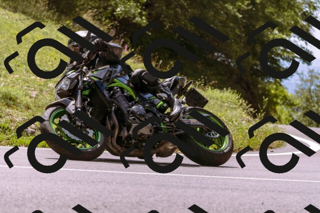 202509061255-_DSC8842_d1_