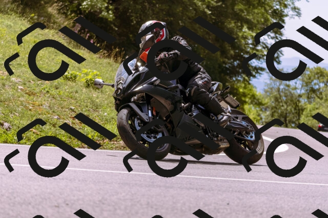 202509061255-_DSC8845_d1_