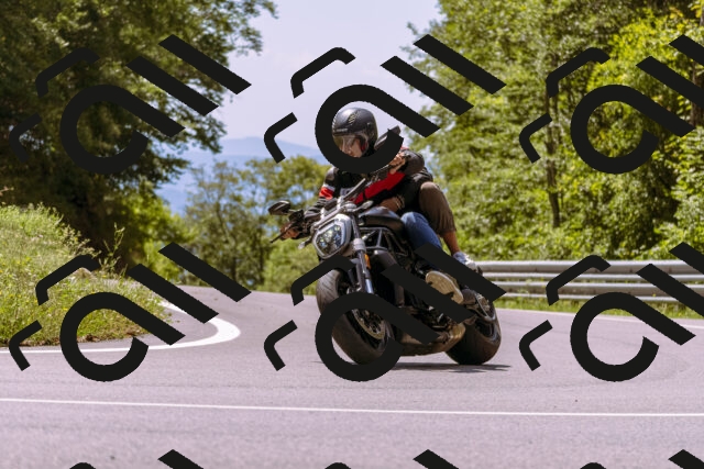 202509061255-_DSC8858_d1_