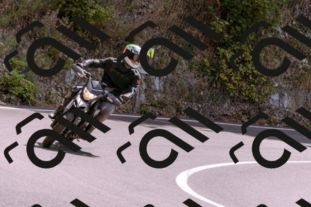 202509061256-_DSC8862_d1_