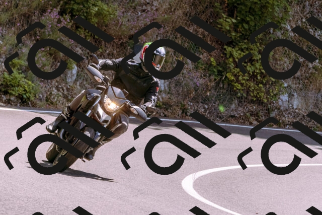 202509061256-_DSC8863_d1_