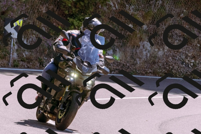 202509061258-_DSC8866_d1_