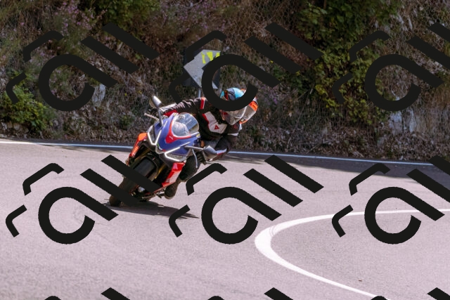 202509061259-_DSC8874_d1_