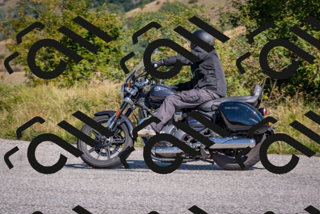 202509061131-DSC_8648_c4_