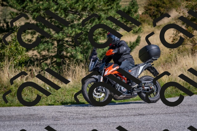 202509061132-DSC_8651_c4_