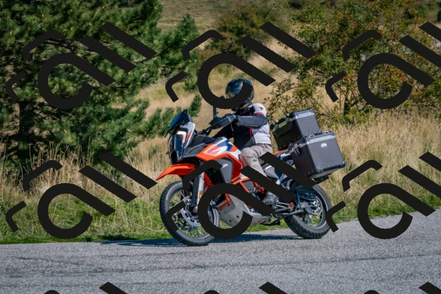 202509061132-DSC_8653_c4_