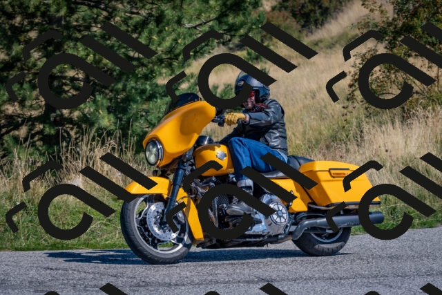 202509061137-DSC_8659_c4_