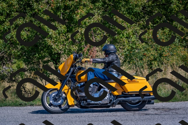 202509061137-DSC_8660_c4_