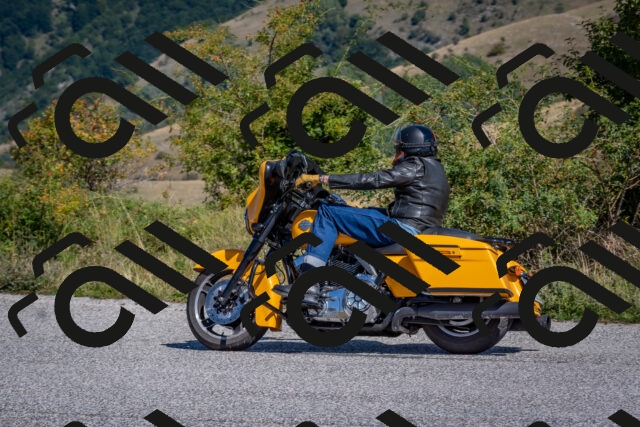 202509061137-DSC_8661_c4_