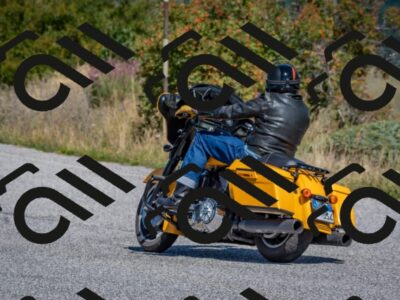 202509061137-DSC_8662_c4_