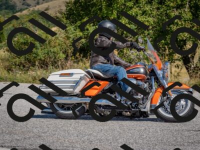 202509061144-DSC_8692_c4_