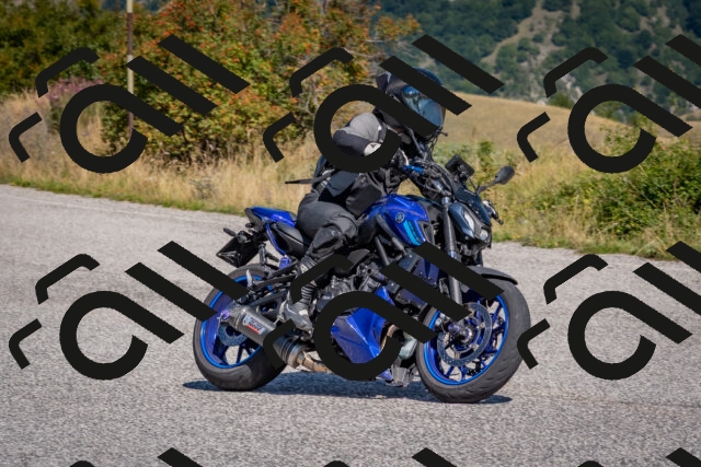 202509061144-DSC_8700_c4_