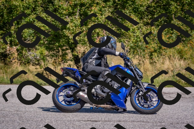 202509061144-DSC_8702_c4_