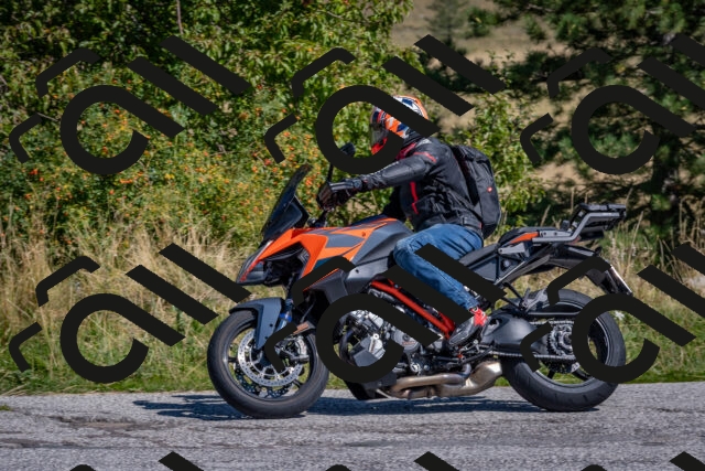 202509061145-DSC_8725_c4_