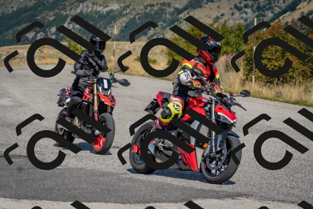 202509061146-DSC_8737_c4_