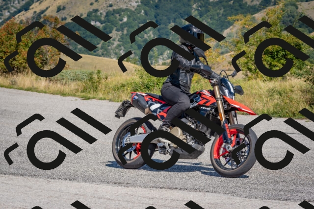 202509061146-DSC_8739_c4_