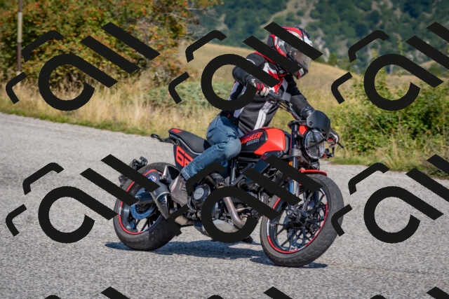 202509061147-DSC_8748_c4_