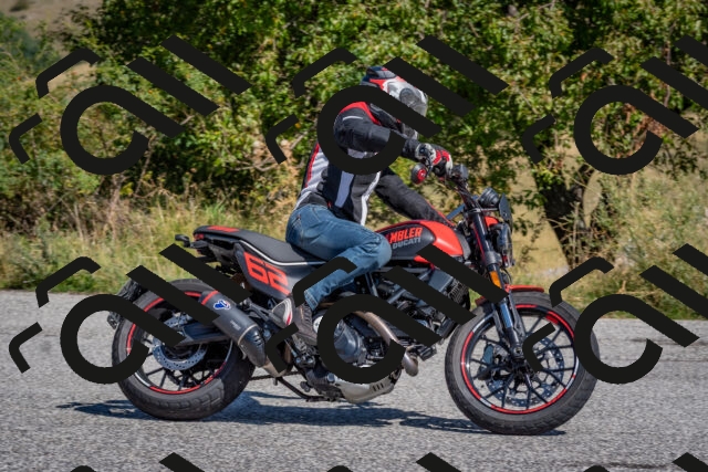 202509061147-DSC_8749_c4_