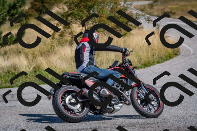 202509061147-DSC_8750_c4_