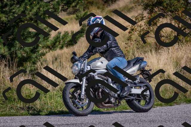 202509061151-DSC_8771_c4_