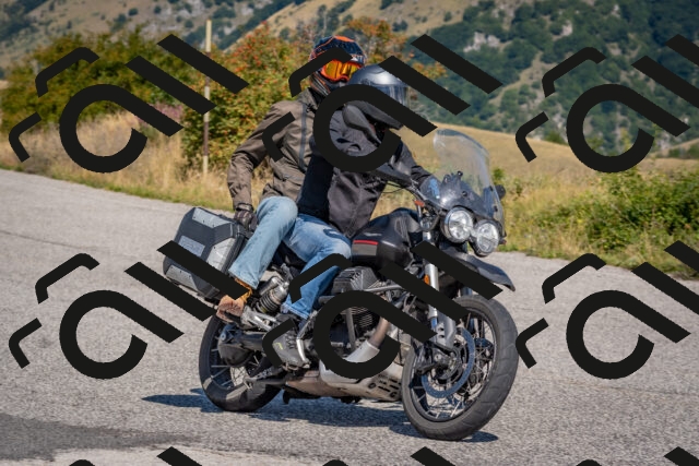 202509061153-DSC_8785_c4_