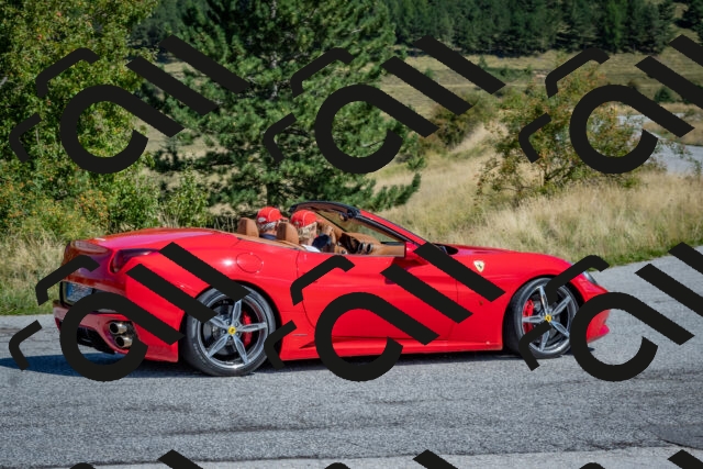 202509061156-DSC_8808_c4_