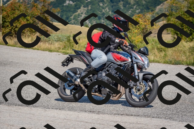 202509061159-DSC_8825_c4_