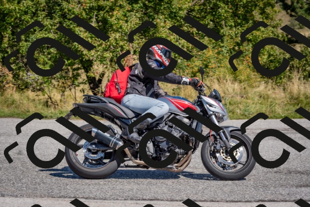 202509061159-DSC_8826_c4_