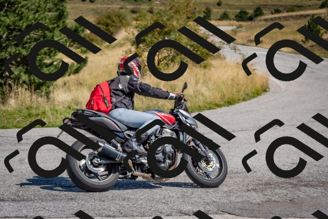 202509061159-DSC_8827_c4_