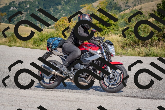 202509061159-DSC_8829_c4_