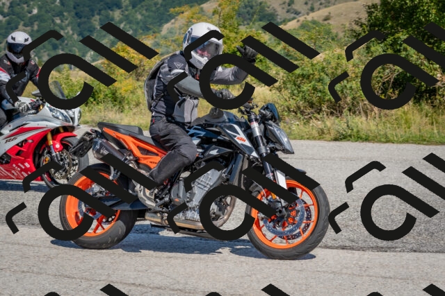 202509061159-DSC_8830_c4_