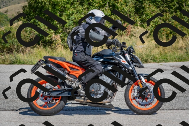 202509061159-DSC_8831_c4_