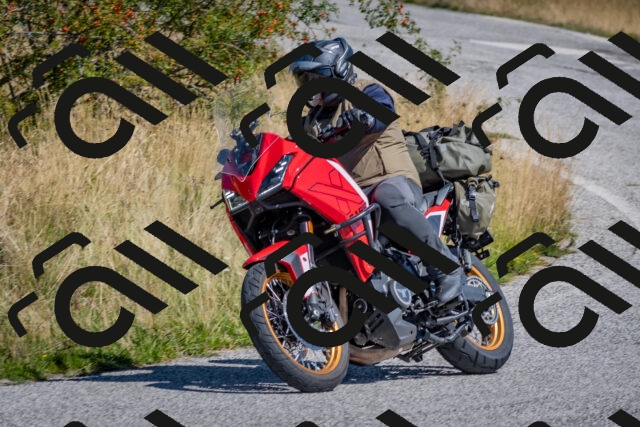 202509061159-DSC_8837_c4_