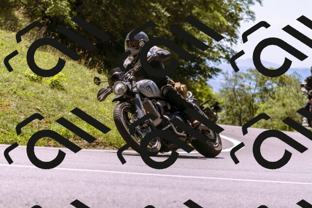 202509061305-_DSC8883_d1_