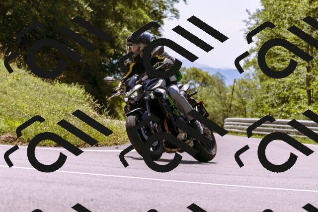 202509061305-_DSC8888_d1_